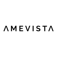 Amevista IT